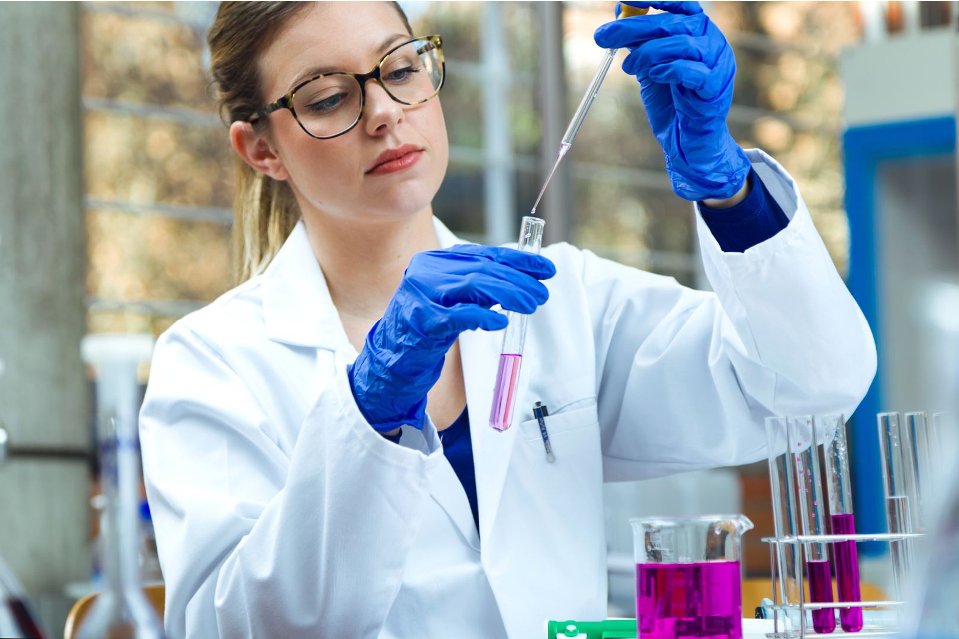 PROOVEDOR DE EQUIPO DE LABORATORIO